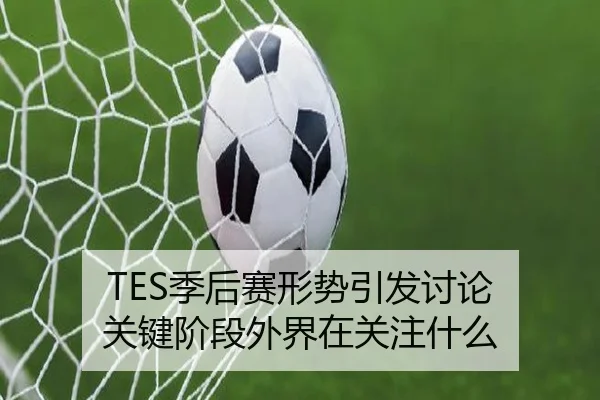 TES季后赛形势引发讨论 关键阶段外界在关注什么
